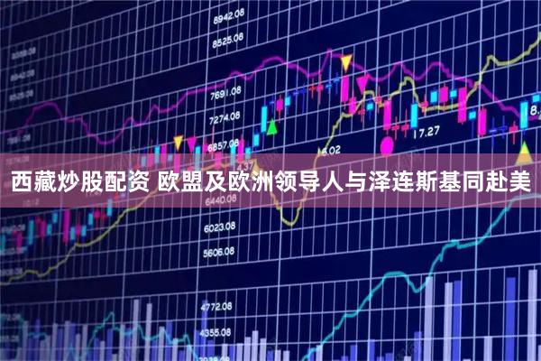西藏炒股配资 欧盟及欧洲领导人与泽连斯基同赴美