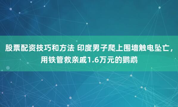 股票配资技巧和方法 印度男子爬上围墙触电坠亡，用铁管救亲戚1.6万元的鹦鹉