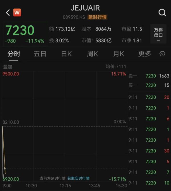 按月配资 突发“黑天鹅”！韩国济州航空股价暴跌