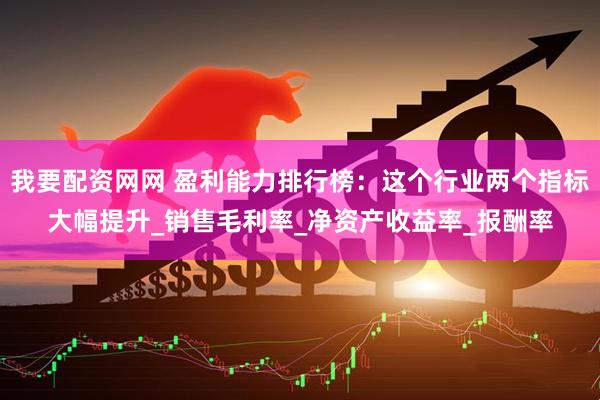 我要配资网网 盈利能力排行榜：这个行业两个指标大幅提升_销售毛利率_净资产收益率_报酬率