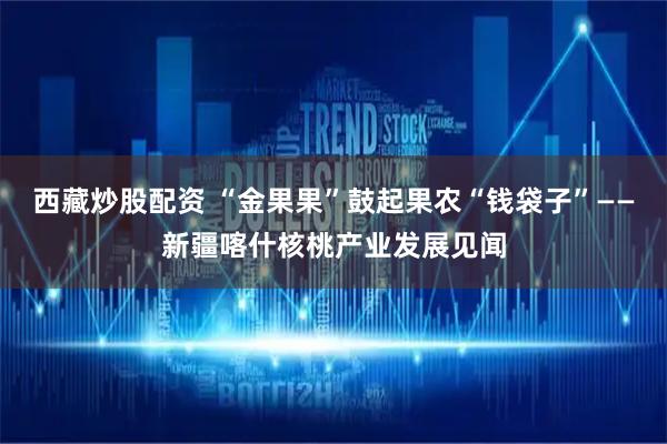西藏炒股配资 “金果果”鼓起果农“钱袋子”——新疆喀什核桃产业发展见闻