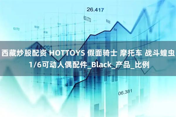 西藏炒股配资 HOTTOYS 假面骑士 摩托车 战斗蝗虫 1/6可动人偶配件_Black_产品_比例